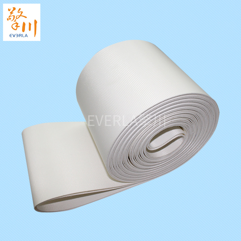 優(yōu)質(zhì)的食品pvc<a href='http://m.hookf.cn/shusongdai/' target='_blank'><u>輸送帶</u></a>主圖